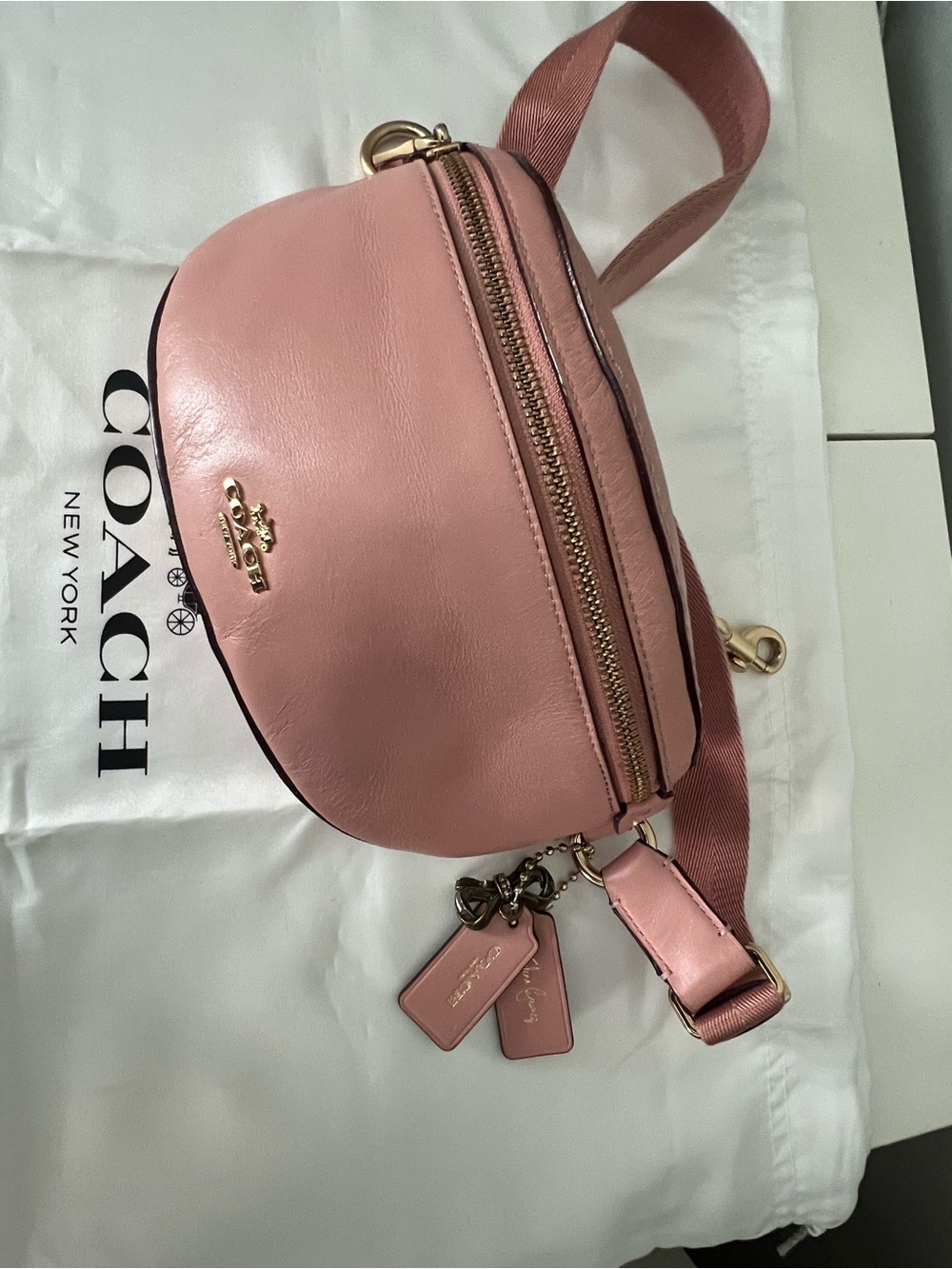 Selena Gomez X Coach limited edition belt bag